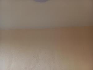 2 kambarių butas 100 m nuo paplūdimio