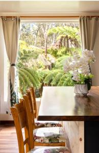 Caldera- Hale Kumu La'au at Volcano