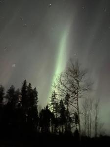 Traditional lakeside cottage