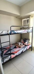 2 Br Unit, Avida Tower Riala by Villahermia