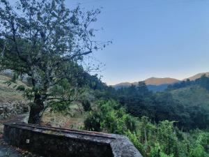 Il Casale di Ernestina