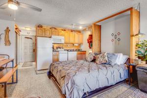 2 Mi to Granby Ranch: Dog-Friendly Studio!