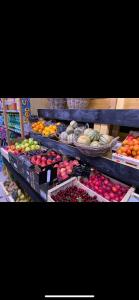 Mobile home accès plage direct mar Estang