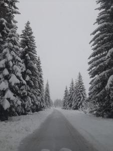 Wooden cottage Podgora