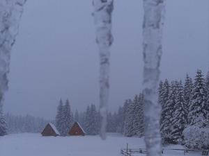 Wooden cottage Podgora