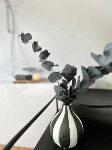 Maisons de vacances Le 70 Sainte Marine : photos des chambres