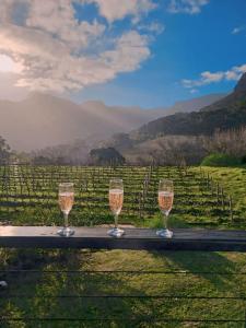 BestPlaceEver- Luxury Loft Apartment