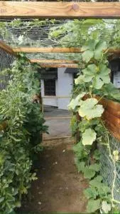 Urban Gardens - Suideinde