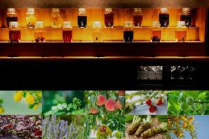 Haku Fuji Yamanakako