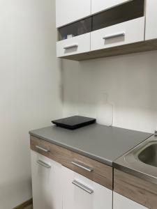 Apartman na Kopaoniku