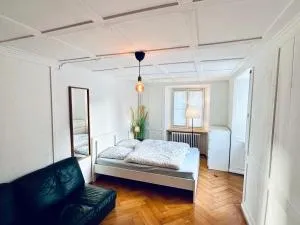 Cozy Little Apartment - Dübendorf