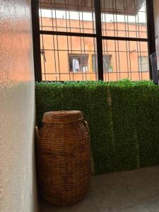 Departamento hogareño Teziutlán