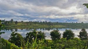 Cola House Nhà Nghỉ Dưỡng Nguyên Căn