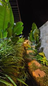 Cola House Nhà Nghỉ Dưỡng Nguyên Căn