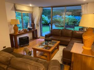 Amplio y lindo departamento a pasos del centro de Pucón