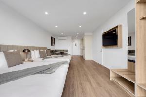 Rambla at Story House