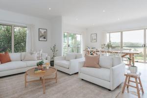 Morning Sun Vineyard