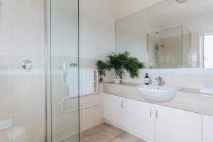 Morning Sun Vineyard