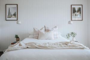 Morning Sun Vineyard