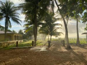 Maragogi Casa Beira-Mar 3 Quartos 8 Pessoas