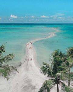 Maragogi Casa Beira-Mar 3 Quartos 8 Pessoas