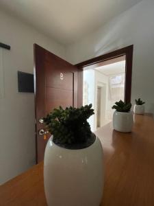 Blue island Beachfront apartment