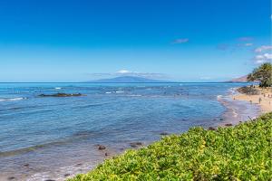 Shores of Maui 215 - Dramatic Ocean Views, Steps to the Beach, Renovated, AC!
