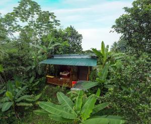 Edén Bungalow, A Paradise in La Fortuna!