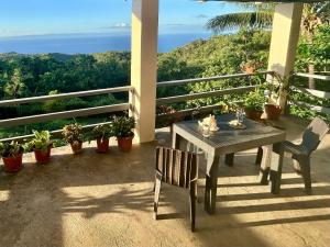 Siquijor Wejman Mountain Sanctuary