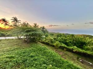 Siquijor Wejman Mountain Sanctuary