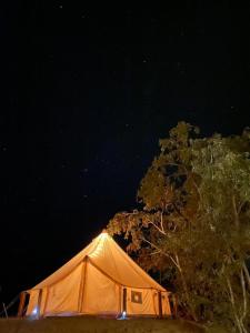 Glamping 3 Idiomas