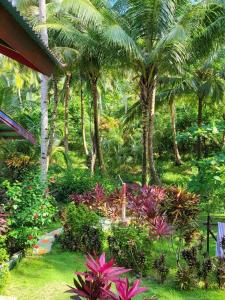 Mentawai Private Villa and Boat at Yantos Place