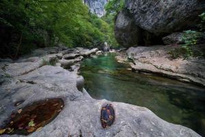 Agréable Studio entre mer & montagne piscine privé