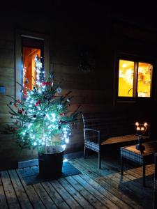 Maisons de vacances Tiny somniflore : photos des chambres