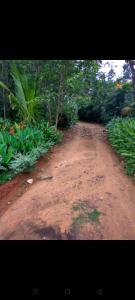 Madhu Giri Stay