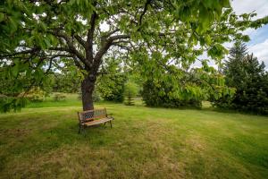 Apartmán U Mluvících Kamenů