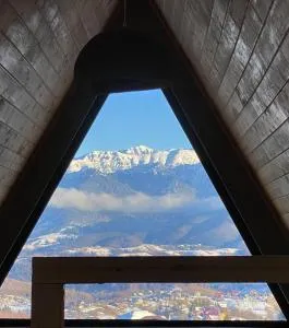 The Cave - 佩什泰拉