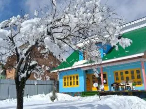 Conifer view guest house - Pūnch