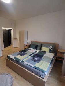 City Center Apartments - Moderna Brno Římské náměstí III