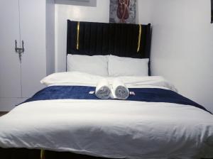 Charming Studio Roysambu Fully furnished Studio TRM Drive