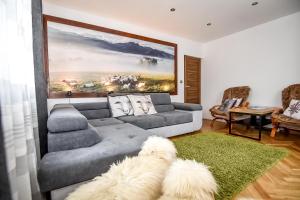 Apartament Owczy Kącik Zakopane