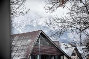 Apartament Owczy Kącik Zakopane