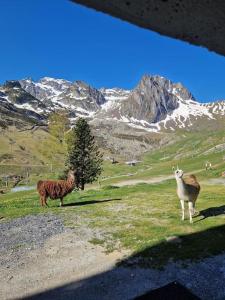Appartement 6 pers, pieds des pistes, garage