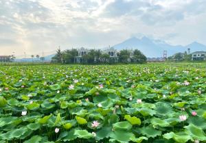 Lotus Hotel Vuon Vua Phu Tho