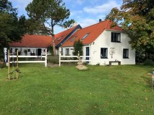 Peace & tranquility in untouched nature by the Sea - Trudslev