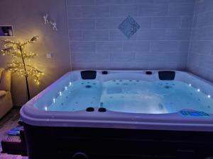 B&B / Chambres d'hotes Studio avec jacuzzi , terrasse amenagee et wifi a Westrehem : photos des chambres