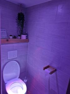 B&B / Chambres d'hotes Studio avec jacuzzi , terrasse amenagee et wifi a Westrehem : photos des chambres