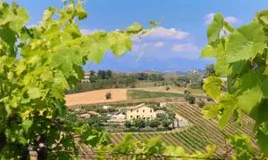 Terra di Ea - Poggio Morello