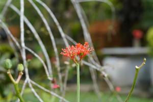 Golden Reef Villa Hikkaduwa