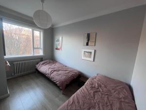 Homely flat with amazing views